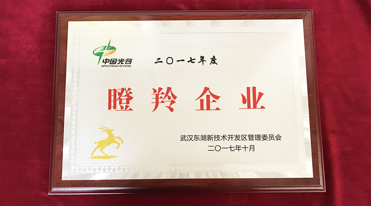 祝賀武漢邁信電氣技術(shù)有限公司榮獲中國光谷2017年度“瞪羚企業(yè)”！